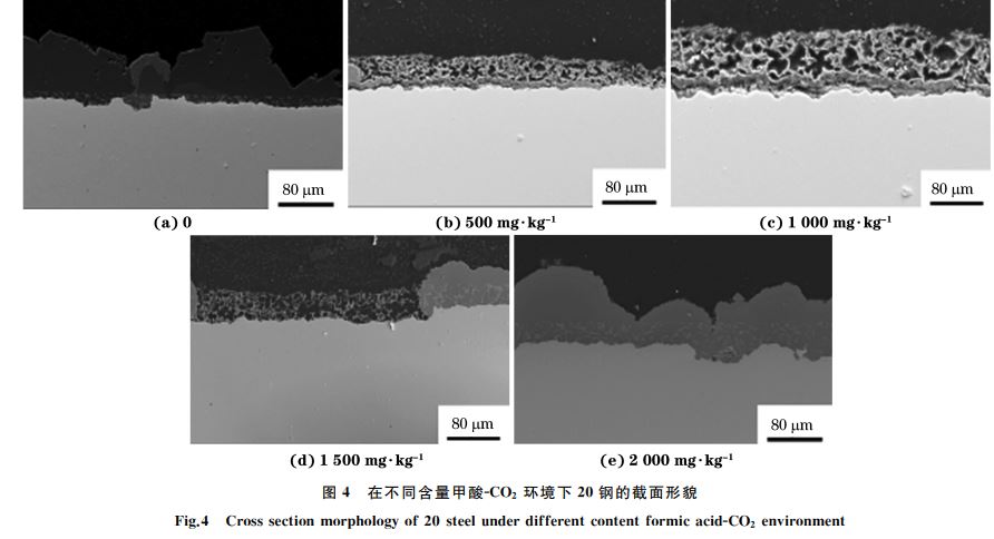 图４ 在不同含量甲酸ＧCO２ 环境下２０钢的截面形貌